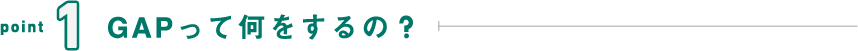point1 GAPって何をするの?