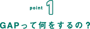 point1 GAPって何をするの?