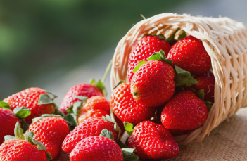 土とふれあう癒し効果