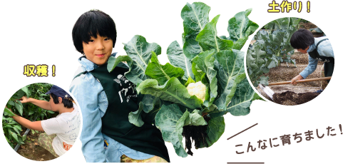 こんなに育ちました！