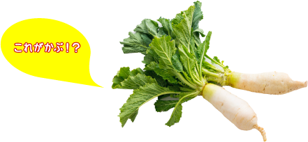 これがかぶ！？