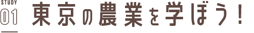 STUDY01 東京の農業を学ぼう！