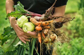 農業を始めたい!・農業について知りたい!