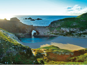 豊かな自然環境の形成