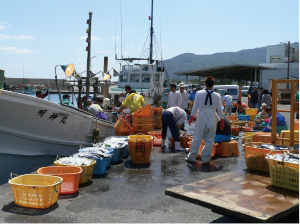漁獲量が減っているって本当？