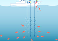 底魚一本釣漁業