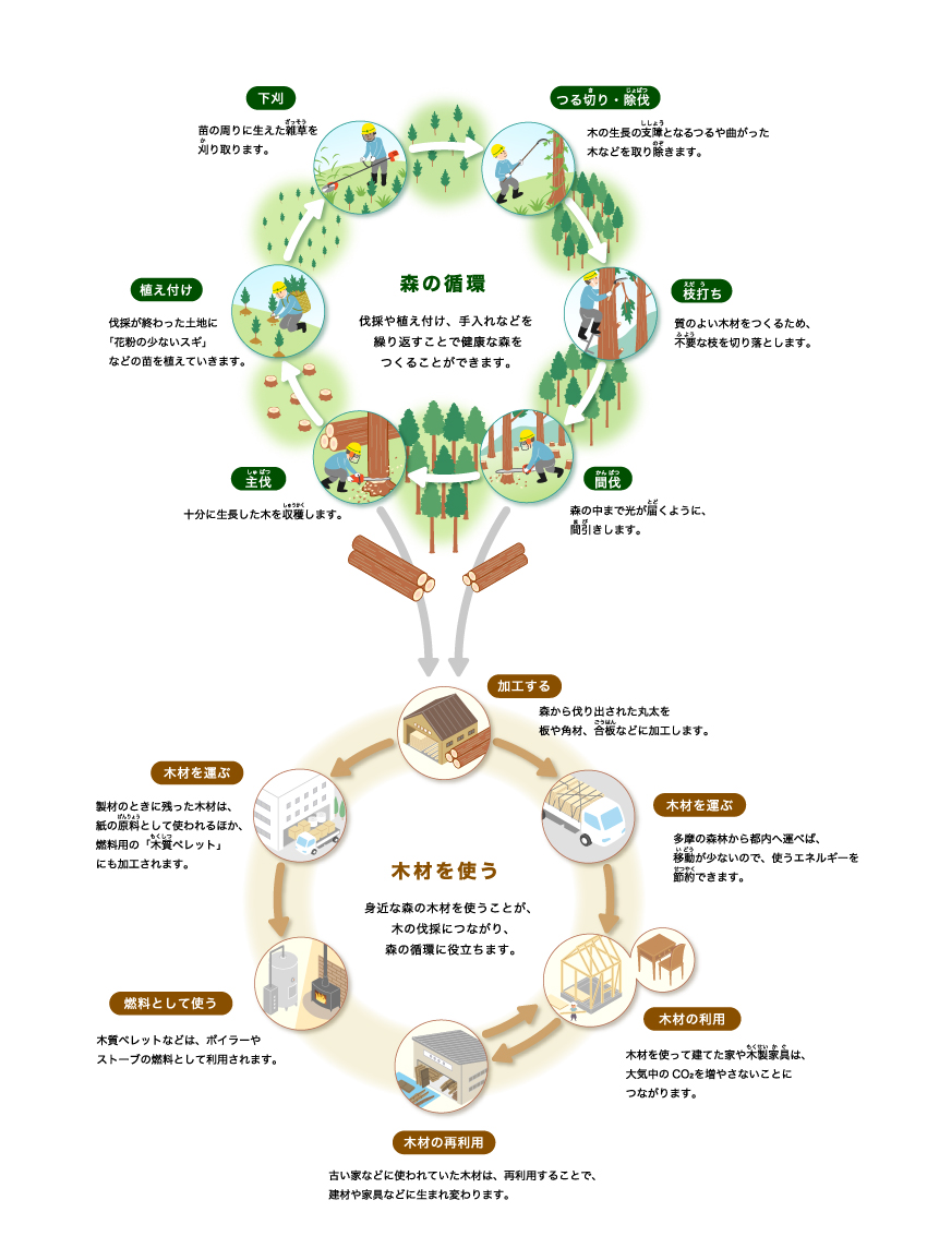 東京の林業とは?
