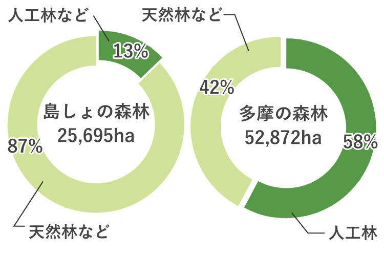 人工林と天然林の違いって?
