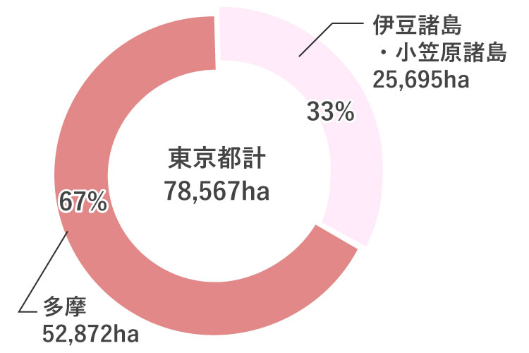 東京の森林ってどのくらいの広さがあるの?