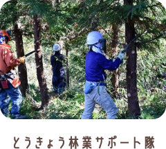 とうきょう林業サポート隊