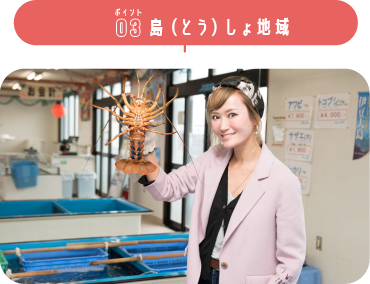 島(とう)しょ地域