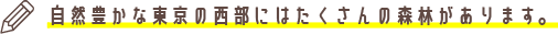 自然豊かな東京の西部にはたくさんの森林があります。