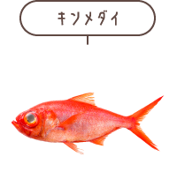 キンメダイ