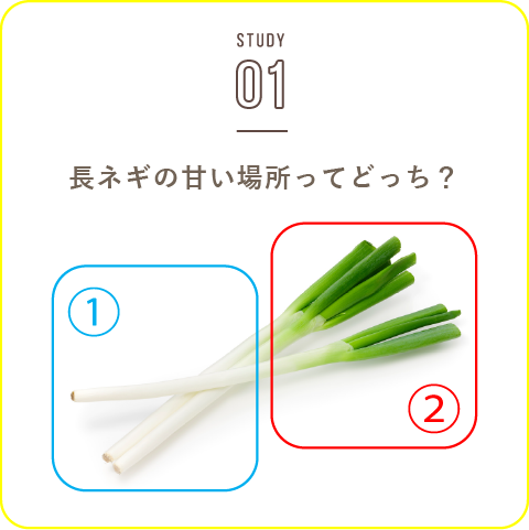 STUDY-01 長ネギの甘い場所ってどっち？