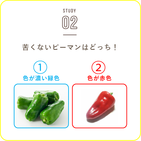 STUDY-02 苦くないピーマンはどっち！