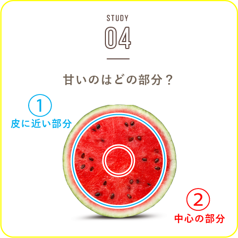 STUDY-04 甘いのはどの部分？
