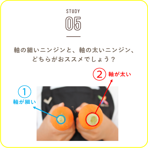 STUDY-05 収穫の秋です！今回のお題はニンジン！