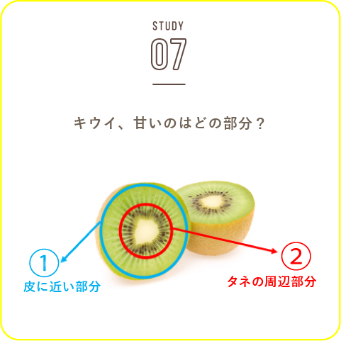STUDY-07 国産キウイの旬は秋です。