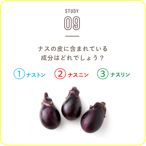 STUDY-09 今回は僕も大好きなナスについてです！