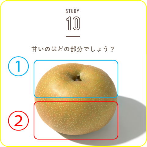 STUDY-10 今回はナシについて一緒に学びましょう！