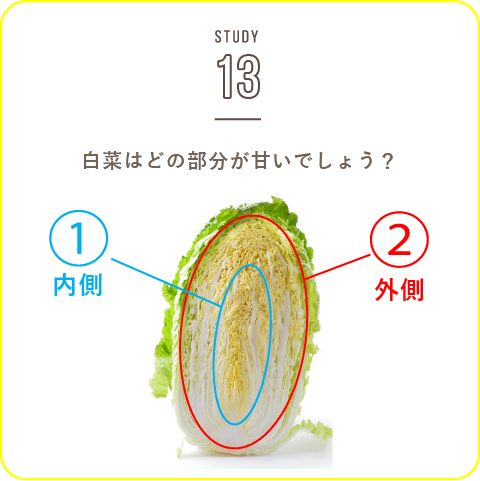 STUDY-13 「お鍋」で欠かすことのできない野菜です！