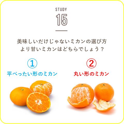 STUDY-15 美味しいだけじゃないミカンの選び方！