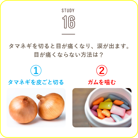 STUDY-16 知っているようで知られていない、野菜のひみつ！