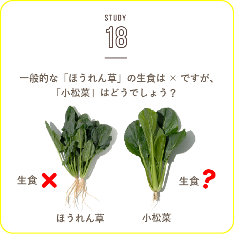 STUDY-18 生で食べることが出来る野菜！