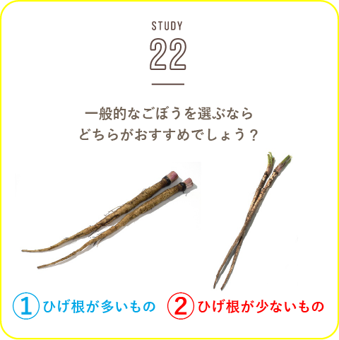 STUDY-22 冬の根菜類の目利き！