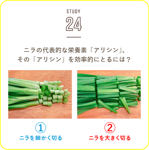 STUDY-24 知ってトクする!? 野菜の豆知識