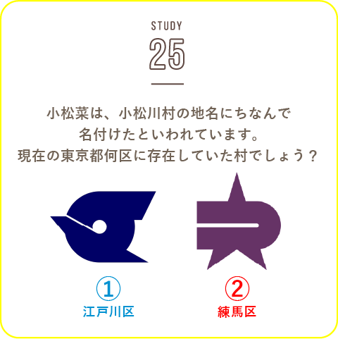 STUDY-25 江戸時代から栽培されている野菜「小松菜」