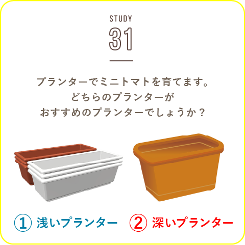 STUDY-31 新鮮なものを必要なだけすぐに収穫できる