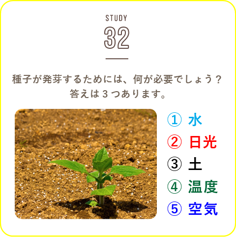 STUDY-32 話のタネになる「種」の話