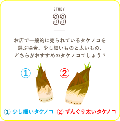 STUDY-33 タケノコの季節、到来！
