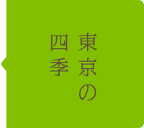 東京の四季