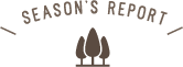 SEASON'S REPORT