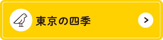 東京の四季