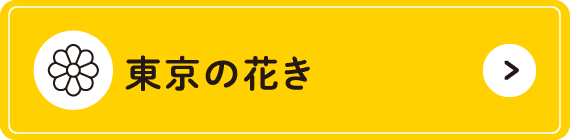 東京の花き