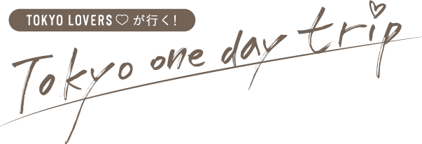 Tokyo one day trip