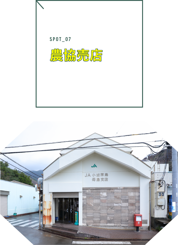 農協売店