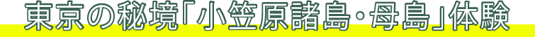小笠原諸島（母島編）