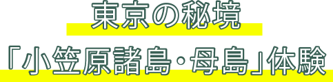 小笠原諸島（母島編）