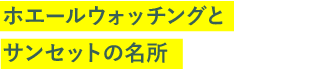 ホエールウォッチングとサンセットの名所