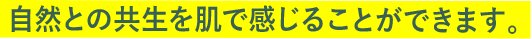 自然との共生を肌で感じることができます。