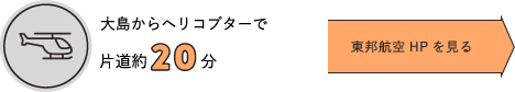 大島からヘリコプターで片道約30分　東邦航空HPを見る